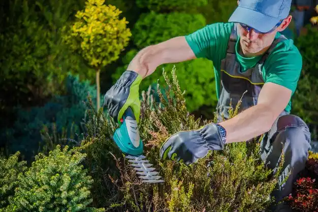 landscaping services Bellaire